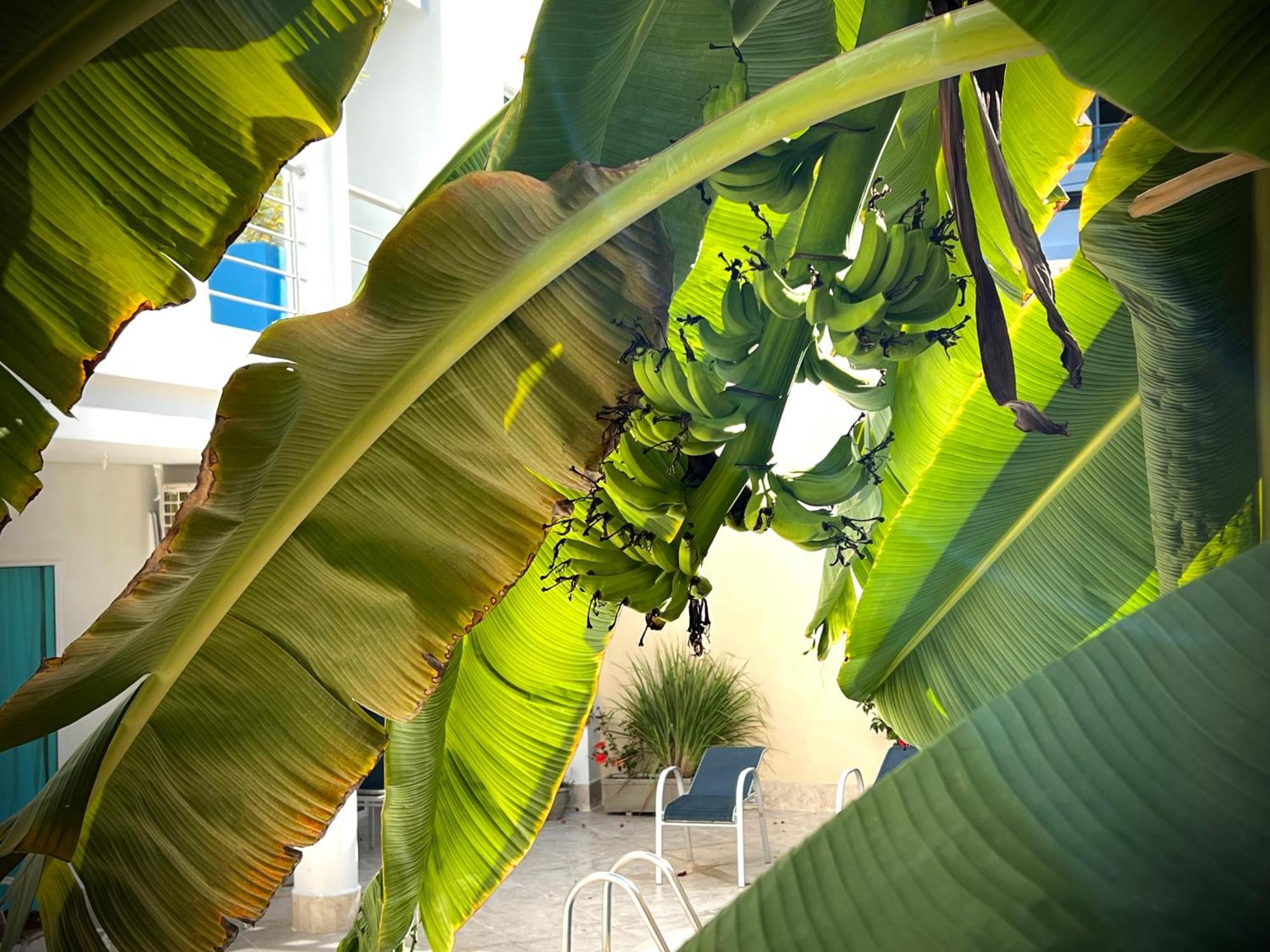 Charme 64 Hotel Boutique Cartagena Dış mekan fotoğraf